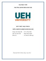 Tiểu luận KHỞI NGHIỆP KINH DOANH UEH