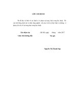 Hệ thống thông tin kế toán quỹ BHYT tại cơ quan BHXH việt nam 