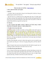 phan tich nhan vat chi pheo 