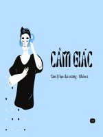 Tâm lý học đại cương cảm GIÁC KHÁI NIỆM cảm GIÁCPHÂN LOẠI cảm GIÁC các QUY LUẬT của cảm GIÁC 
