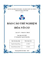 BÁO cáo THÍ NGHIỆM hóa vô cơ  báo cáo thí nghiệm bài 2 KIM LOẠI KIỀM THỔ (phân nhóm IIA) 