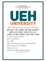 CÁC NHÂN TỐ ẢNH HƯỞNG ĐẾN CẤU TRÚC VỐN CỦA CÁC CÔNG TY BẤT ĐỘNG SẢN VIỆT NAM