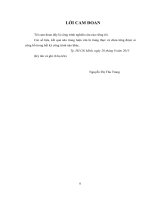 (Luận văn thạc sĩ) Nghiên cứu giải thuật định tuyến cân bằng tải nhằm nâng cao tuổi thọ cho mạng cảm biến không dây