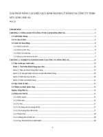 GIẢI PHÁP NÂNG CAO HIỆU QUẢ KINH DOANH lữ HÀNH tại CÔNG TY DU LỊCH SÓNG PHÙ SA