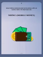 HOẠT ĐỘNG KINH DOANH NGÂN HÀNG  MOBILE MONEY cơ sở lý thuyết chung về mobile money cơ sở pháp lý của mobile money ở việt nam 