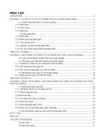 VNM FULL PHÂN TÍCH CHIẾN LƯỢC PHÂN PHỐI CỦA CÔNG TY CỔ PHẦN SỮA VIỆT NAM VINAMILK