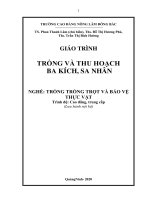 Giáo trình Trồng và thu hoạch ba kích  sa nhân (Nghề Trồng trọt và bảo vệ thực vật  Trình độ Cao đẳng, Trung cấp)
