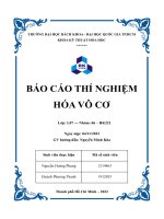 BÁO cáo THÍ NGHIỆM hóa vô cơ  báo cáo thí nghiệm bài 2 KIM LOẠI KIỀM THỔ (phân nhóm IIA) 
