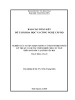Báo cáo nghiên cứu tuyển chọn giống và một số biện pháp kỹ thuật canh tác thích hợp cho cây ngô trên đất dốc tại tỉnh yên bái 