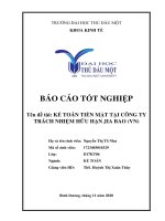 Báo cáo tốt nghiệp kế toán tiền mặt tại công ty TNHH jia bao (VN) 