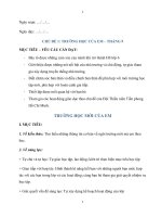 Giáo án hoạt động trải nghiệm 6 sách cánh diều (gồm cả tiết sinh hoạt dưới cờ, sinh hoạt lớp)