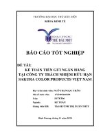Báo cáo tốt nghiệp kế toán tiền gửi ngân hàng tại công ty TNHH sakura color products việt nam 