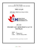 đề tài tìm hiểu quy định pháp luật về tội phạm 