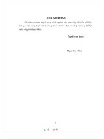 Đặc điểm xuất hiện của voi rừng và thiệt hại do xung đột voi   người tại vùng đệm vườn quốc gia yok don 