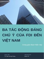 TIỂU LUẬN ĐẦU TƯ QUỐC TẾ BA TÁC ĐỘNG ĐÁNG CHÚ Ý CỦA FDI ĐẾN VIỆT NAM