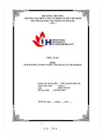 TIỂU LUẬN đề tài ẢNH HƯỞNG COVID 19 đến NGÀNH XUẤT NHẬP KHẨU 