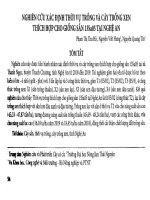 Nghiên cứu xác định thời vụ trồng và cây trồng xen thích hợp cho giống sắn 13sa05 tại nghệ an 