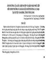 Ảnh hưởng của gốc ghép mướp và biện pháp phủ liếp đến sinh trưởng và năng suất mướp hương f1 cn428 tại huyện tam bình, tỉnh vĩnh long 
