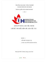 MÔN kỹ NĂNG làm VIỆC NHÓM CHỦ đề tìm HIỂU bản sắc dân tộc tày 