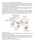 Cấu tạo và nguyên lý hoạt động của hệ thống phanh ABS 