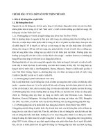 CHẾ dộ bầu cử của một số nước TREN THẾ GIỚI 