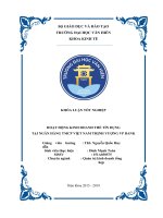 HOẠT ĐỘNG KINH DOANH THẺ TÍN DỤNG TẠI NGÂN HÀNG TMCP VIỆT NAM THỊNH VƯỢNG VP BANK