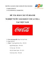 BÁO CÁO VỀ DOANH NGHIỆP NƯỚC GIẢI KHÁT COCA COLA TẠI VIỆT NAM