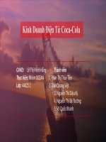 Phân tích tác động kinh doanh điện tử đến sản phẩm - Kinh Doanh Điện Tử Coca-Cola