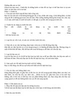 Hướng dẫn sơn xe hơi 