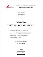 BÁO cáo THỰC tập DOANH NGHIỆP 1 cơ quan thực tập  CÔNG TY TNHH CROSS TECHNOLOGY  COMMUNICATION 