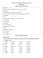 NỘI DUNG ôn tập CUỐI kỳ HKI (2022 2023) TIẾNG ANH 9 