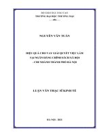 Luận văn thạc sĩ hiệu quả cho vay giải quyết việc làm tại ngân hàng chính sách xã hội – chi nhánh thành phố hà nội 