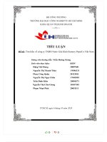 TIỂU LUẬN đề tài  tìm hiểu về công ty TNHH nước giải khát suntory pepsico việt nam 