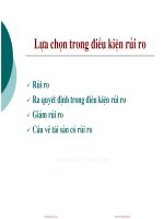 kinh te vi mo 2 le van chien bai 3  la chn trong diu kin ri ro1   cuuduongthancong com 