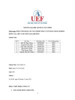 Tiểu luận PHÂN TÍCH báo cáo tài CHÍNH TỔNG CTCP HÃNG HÀNG KHÔNG QUỐC GIA VIỆT NAM VIETNAM AIRLINES 