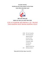 BÁO cáo môn học ĐỘNG lực học lưu CHẤT TÍNH TOÁN CFD AUTODESK mô PHỎNG các TRẠNG THÁI KHÔNG KHÍ TRONG KHÔNG GIAN 
