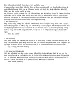 Dấu hiệu nhận biết bình chứa dầu trợ lực tay lái hư hỏng 