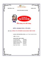 MARKETING CĂN BẢN ĐỀ TÀI: CÔNG TY CỔ PHẦN ACECOOK VIỆT NAM
