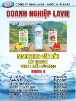 CHIẾN LƯỢC MARKETING CÔNG TY TNHH LAVIE