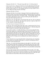 Mạng giao tiếp trên ô tô – tầm quan trọng, phân loại và xu hướng tương lai 