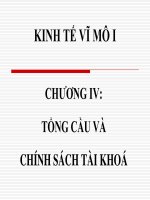 kinh te vi mo nguyen thi hong 101204   chuong 4   tong cau va cstk (gui sv)   cuuduongthancong com 