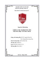 Nguyên lý marketing CHIẾN lược MARKETING MIX THƯƠNG HIỆU TH TRUE MILK 
