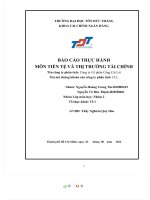 BÁO cáo THỰC HÀNH môn TIỀN tệ và THỊ TRƯỜNG tài CHÍNH tên công ty phân tích công ty cổ phần cảng cát lái CLL 