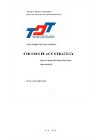 ASIAN MARKETING MANAGEMENT COCOON PLACE STRATEGY  background of the cocoon original vietnam 
