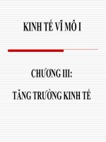 kinh te vi mo nguyen thi hong 101203   chuong 3   tang truong kinh te (gui sv)   cuuduongthancong com 