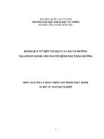 BÁNH QUY từ bột vỏ hạt CA CAO và ĐƯỜNG TAGATOSE DÀNH CHO NGƯỜI BỆNH đái THÁO ĐƯỜNG