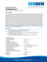 ISONEM MS 82 (Sơn chống thấm - chống mốc, kháng khuẩn)