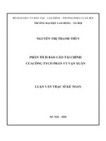 Luận văn thạc sĩ phân tích báo cáo tài chính của công ty cổ phần VT vạn xuân 