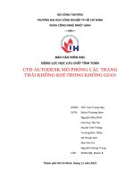 BÁO cáo môn học ĐỘNG lực học lưu CHẤT TÍNH TOÁN CFD AUTODESK mô PHỎNG các TRẠNG THÁI KHÔNG KHÍ TRONG KHÔNG GIAN 