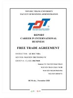 REPORT CAREER IN INTERNATIONAL BUSINESS FREE TRADE AGREEMENT overview of the free trade agreement (FTA) 